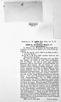 Uromyces betae image